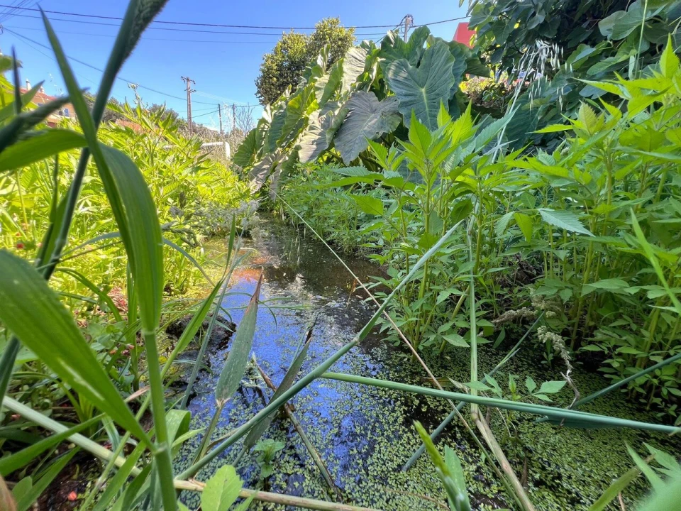 Quinta T2 para Venda em Marmelete Foto 7