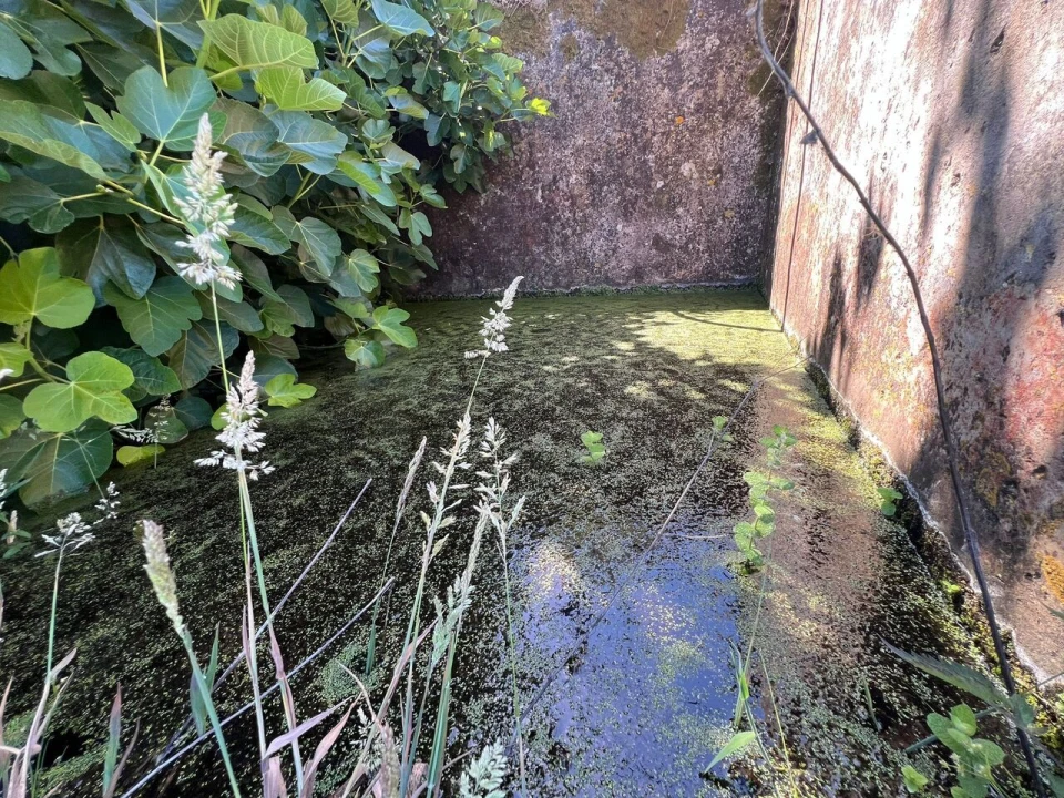 Quinta T2 para Venda em Marmelete Foto 8