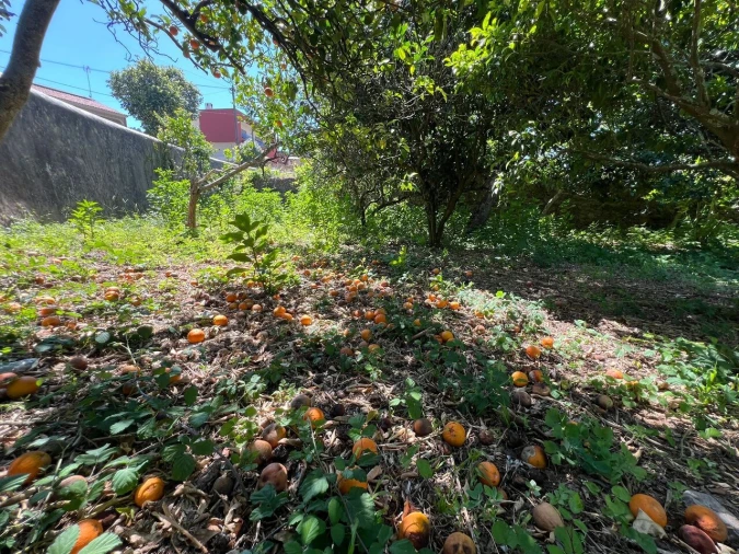 Quinta T2 para Venda em Marmelete Foto 27