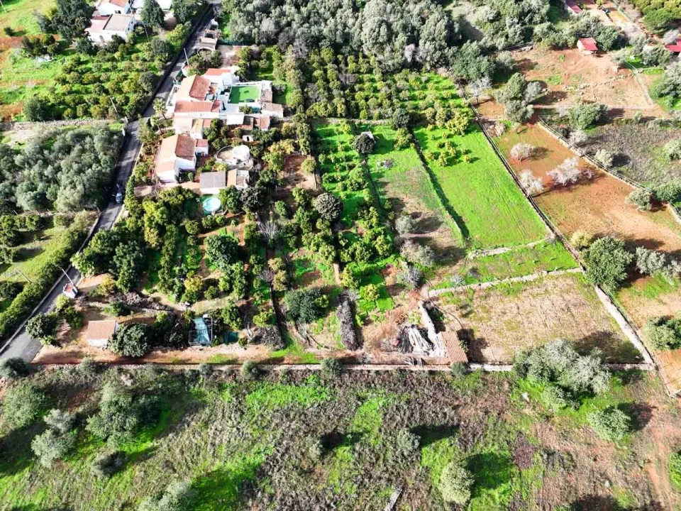 Quinta T3 para Venda em Silves Foto 5