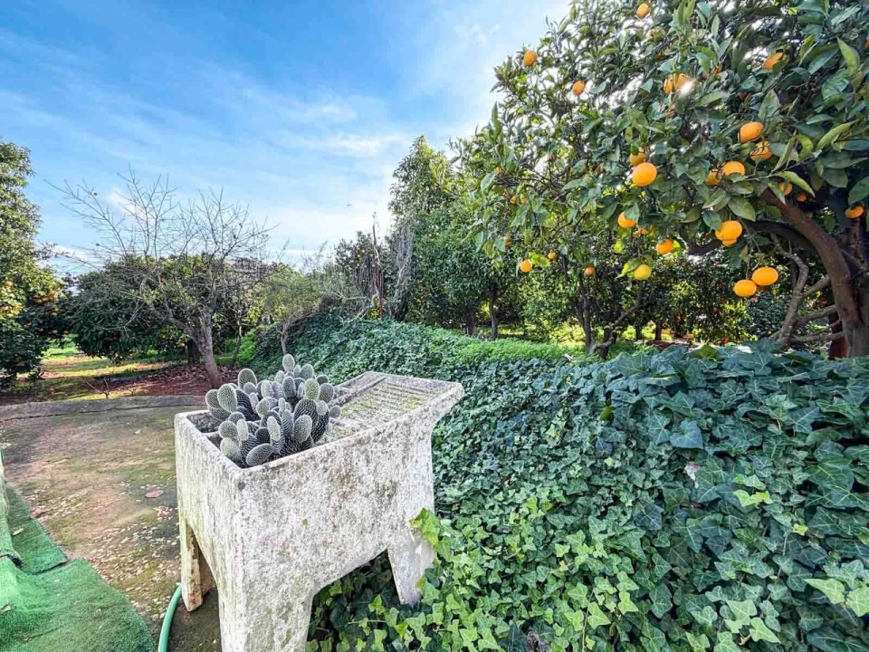 Quinta T3 para Venda em Silves Foto 6