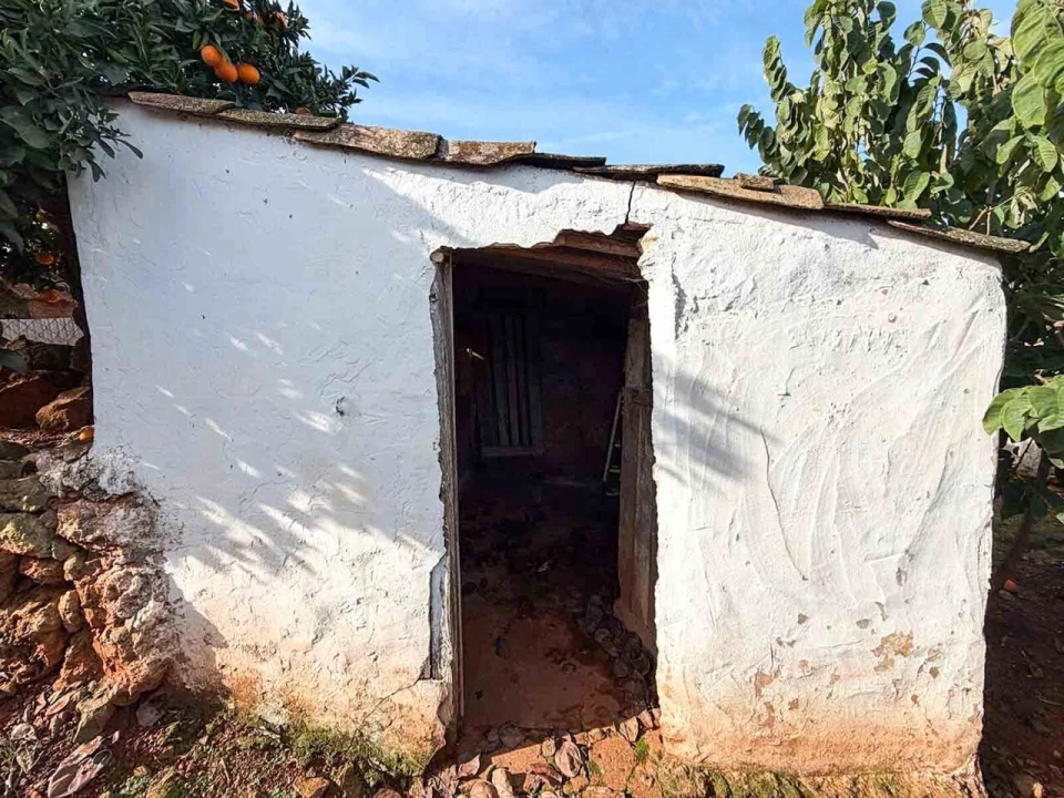 Quinta T3 para Venda em Silves Foto 22