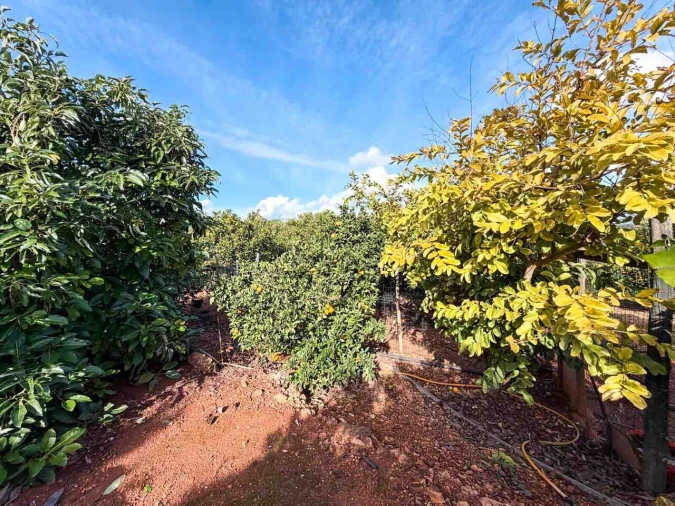 Quinta T3 para Venda em Silves Foto 21