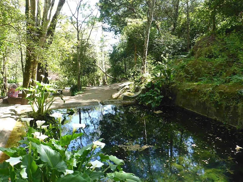 Moradia T4 para Venda em Monchique Foto 14