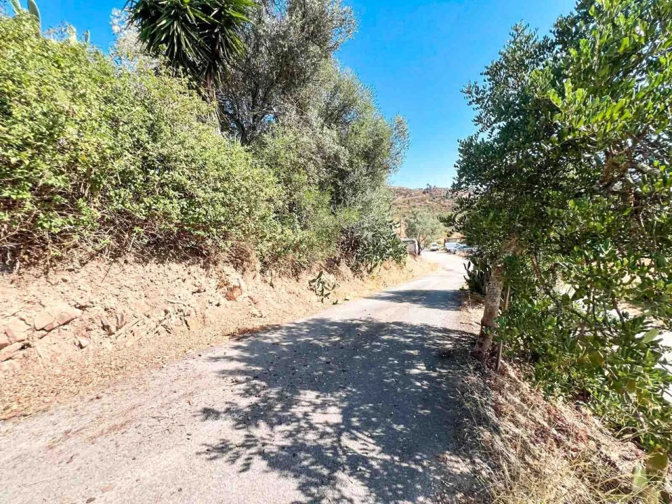 Quinta T3 para Venda em Silves Foto 33