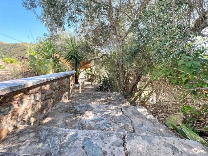 Quinta T3 para Venda em Silves Foto 47