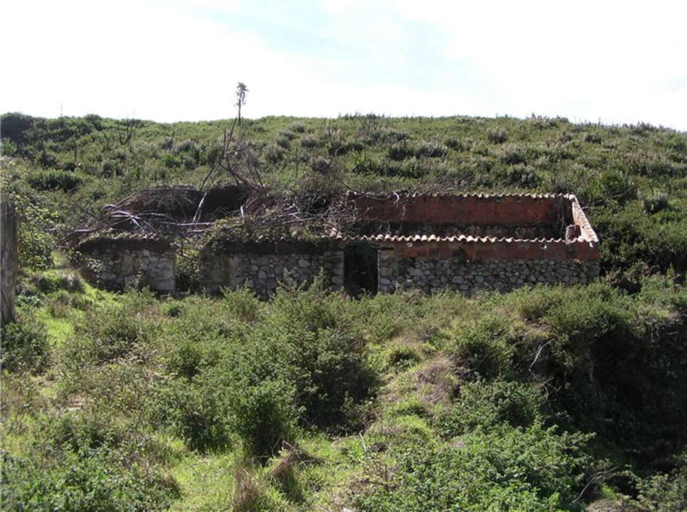 Quinta T0 para Venda em Monchique Foto 5