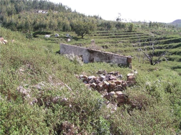 Quinta T0 para Venda em Monchique