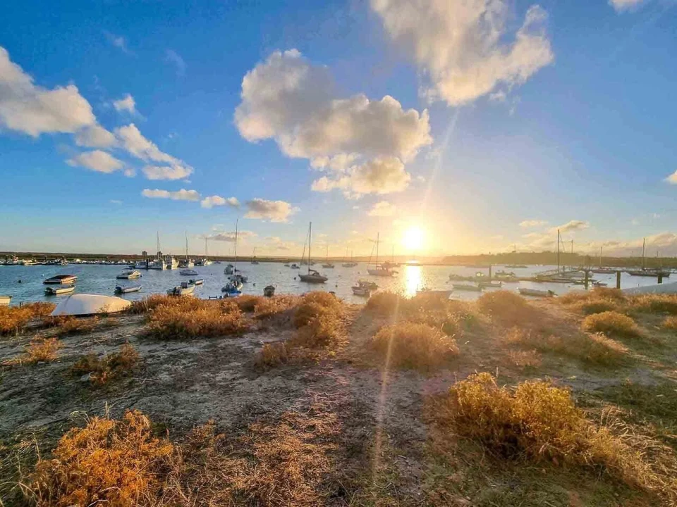 Apartamento T3 para Venda em Alvor Foto 11