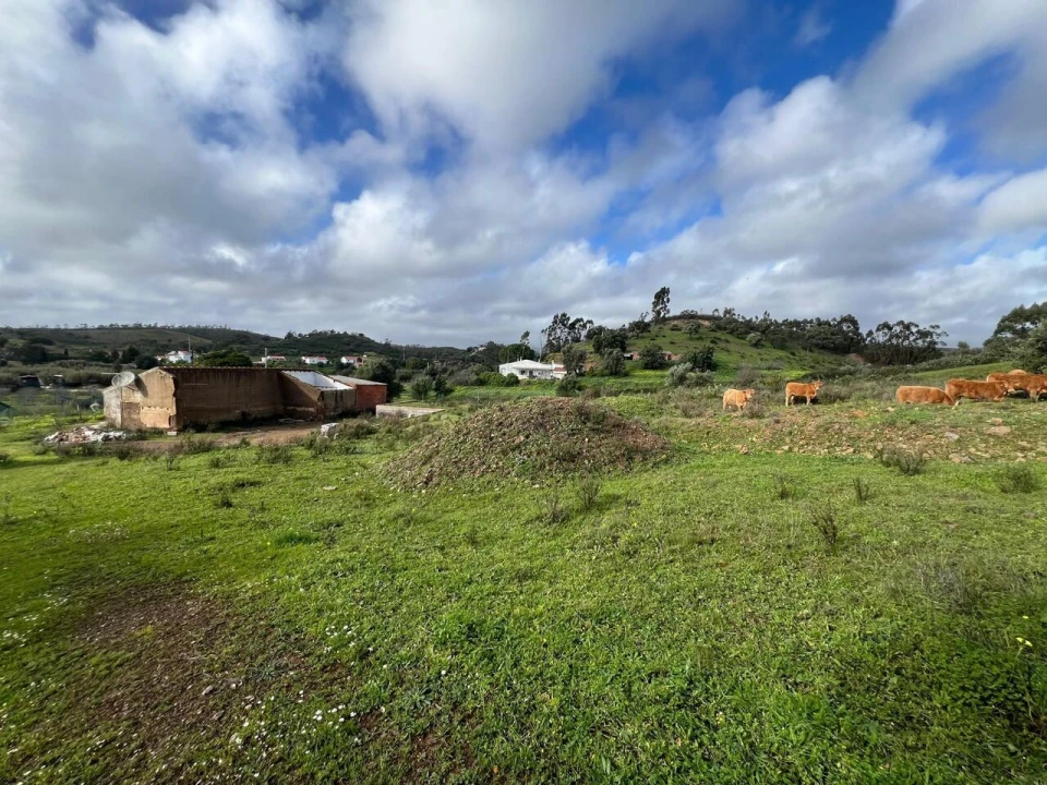 Quinta T2 para Venda em Mexilhoeira Grande Foto 6