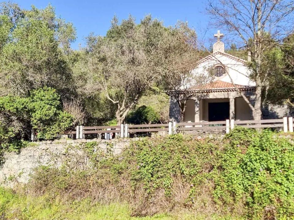 Negócio para Venda em Monchique Foto 59