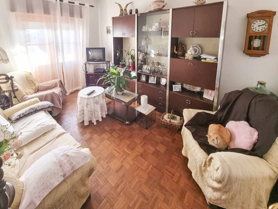 Negócio para Venda em Monchique Foto 37