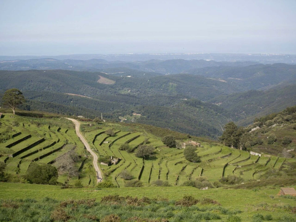 Negócio para Venda em Monchique Foto 64