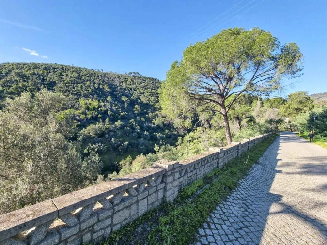 Negócio para Venda em Monchique Foto 60