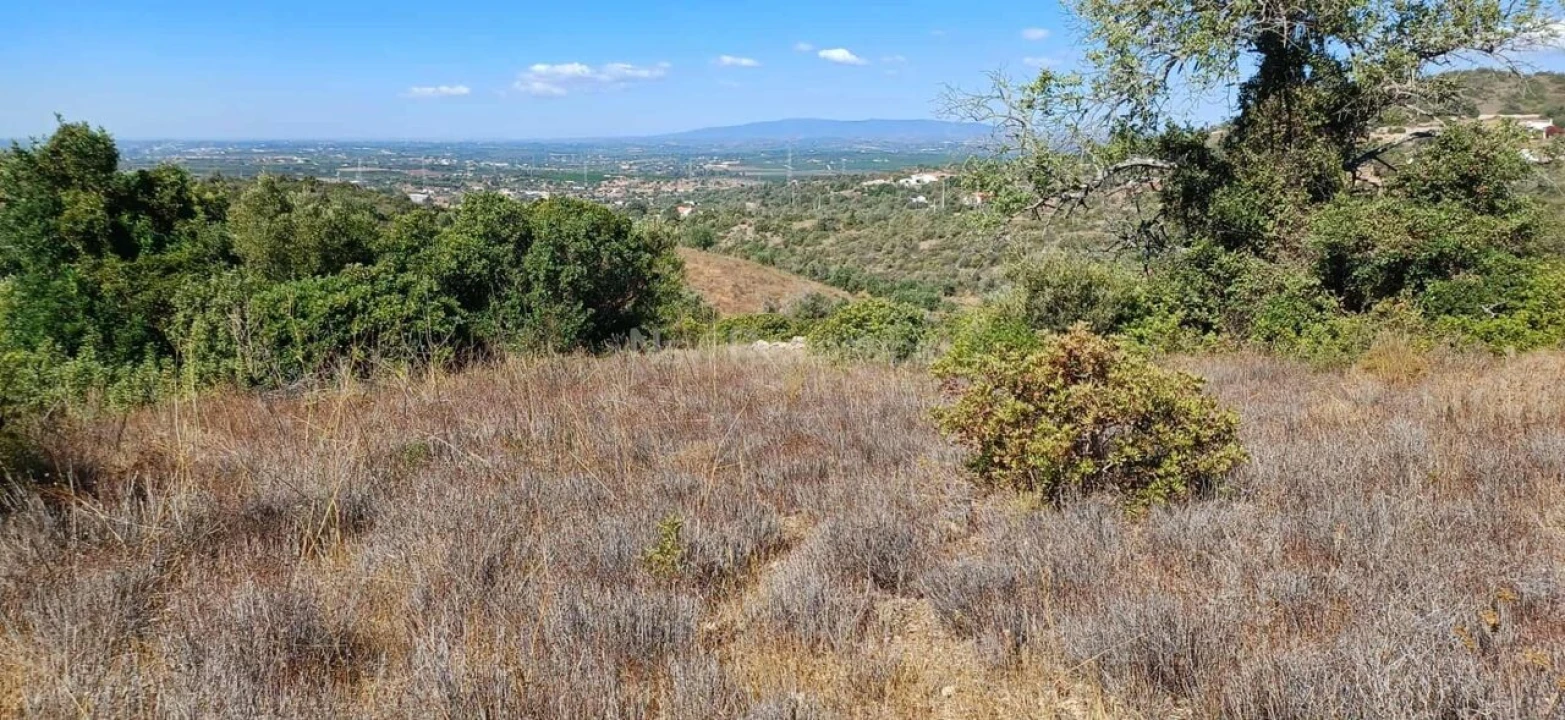 Terreno para Venda em Paderne Foto 2