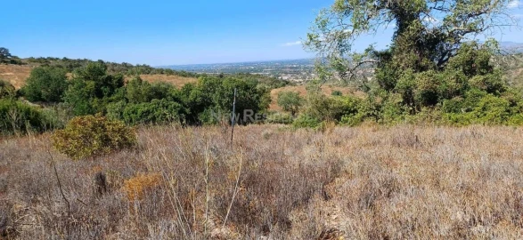 Terreno para Venda em Paderne