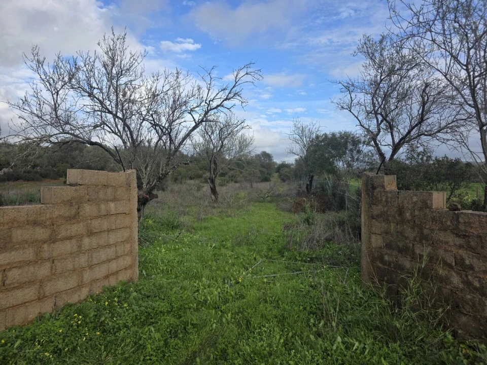 Terreno para Venda em Paderne Foto 1