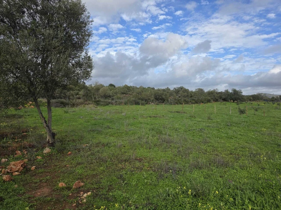 Terreno para Venda em Paderne Foto 2