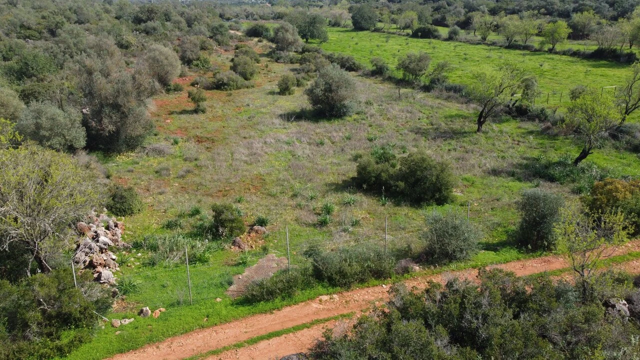 Terreno para Venda em Paderne Foto 13