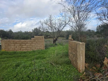 Terreno para Venda em Paderne