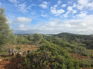Terreno para Venda em Paderne