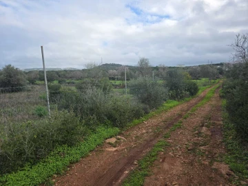 Terreno para Venda em Paderne