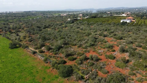 Terreno para Venda em Paderne