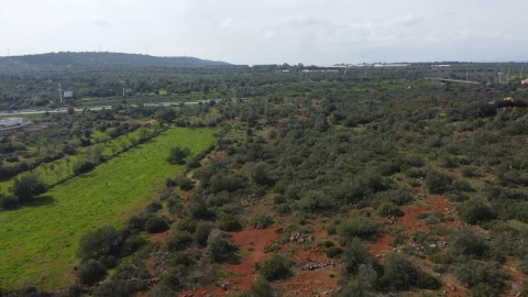 Terreno para Venda em Paderne