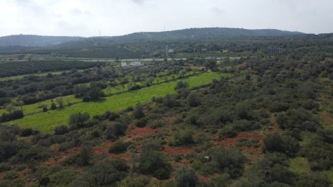 Terreno para Venda em Paderne