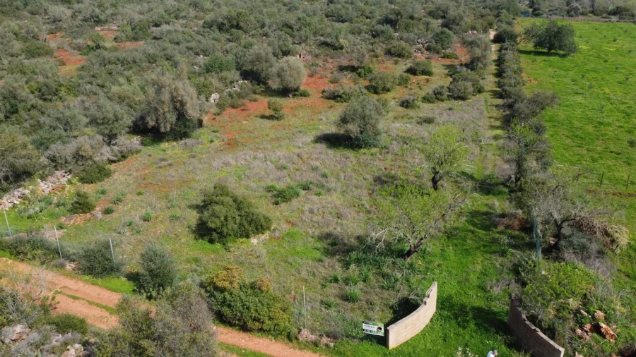 Terreno para Venda em Paderne Foto 3