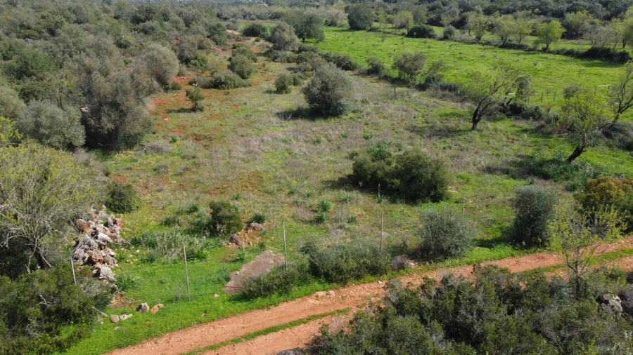Terreno para Venda em Paderne Foto 13