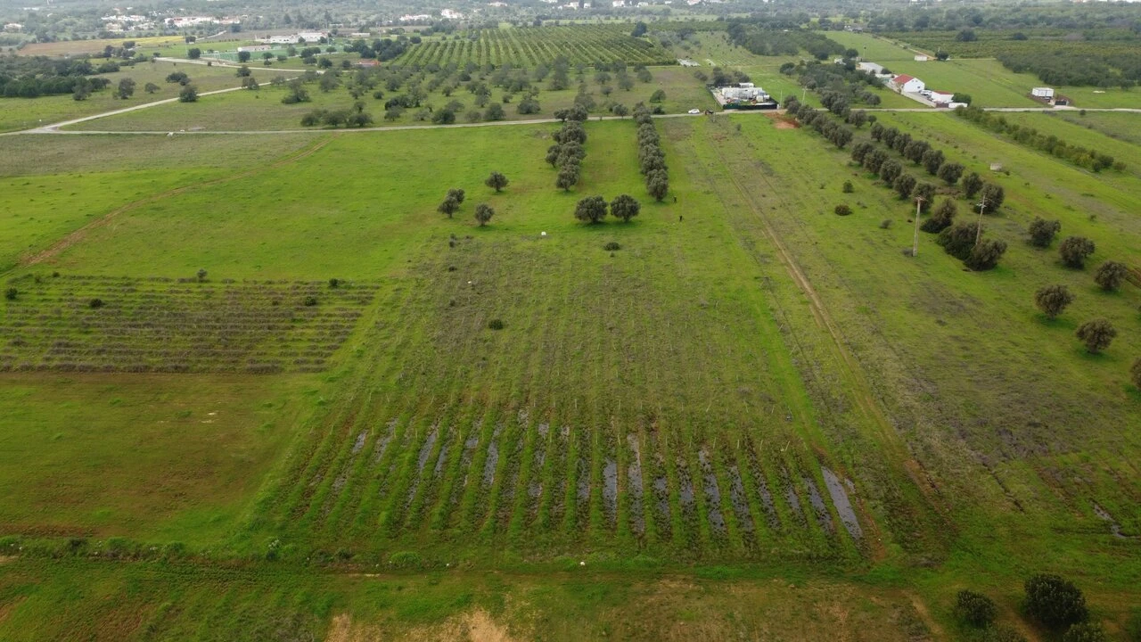 Terreno para Venda em Paderne Foto 12