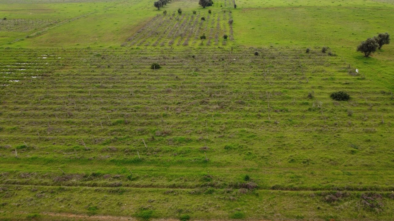 Terreno para Venda em Paderne Foto 13