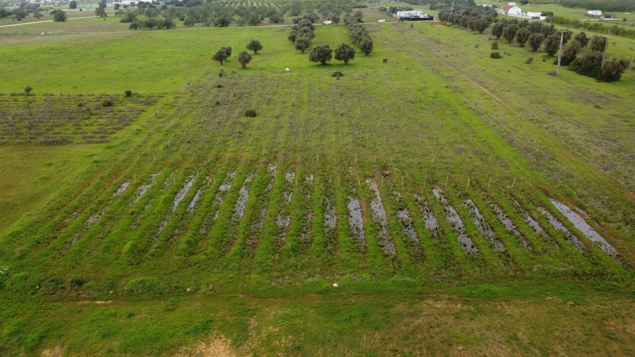 Terreno para Venda em Paderne Foto 14