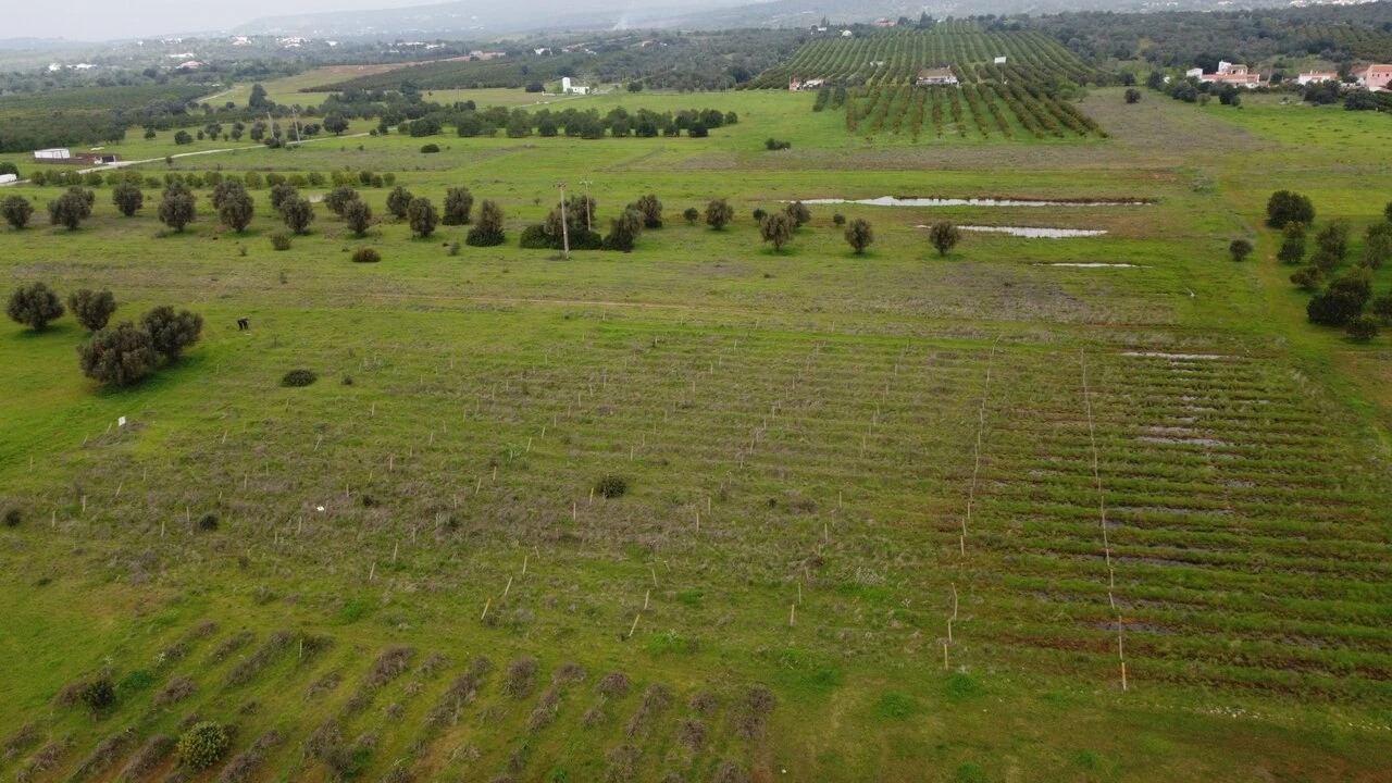 Terreno para Venda em Paderne Foto 16