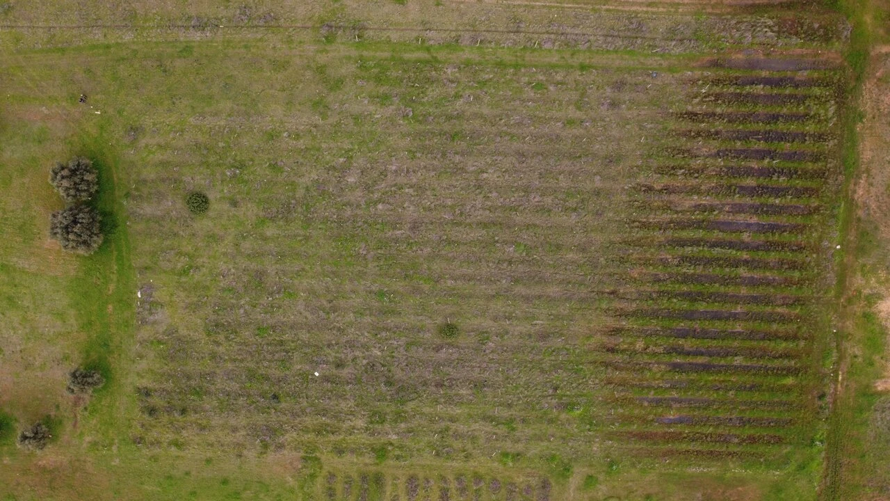 Terreno para Venda em Paderne Foto 17