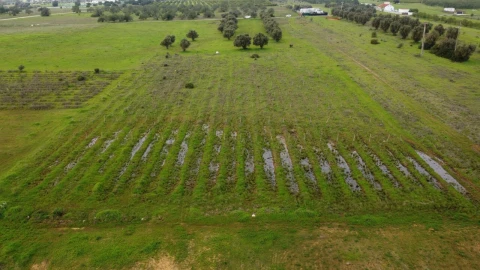 Terreno para Venda em Paderne