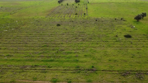 Terreno para Venda em Paderne