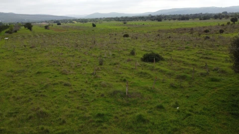 Terreno para Venda em Paderne