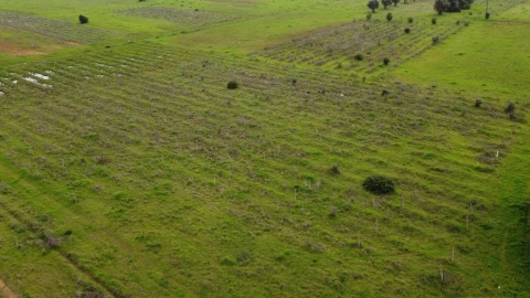 Terreno para Venda em Paderne