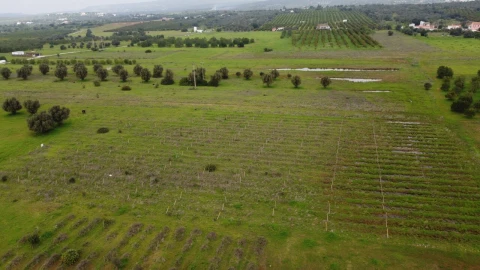 Terreno para Venda em Paderne