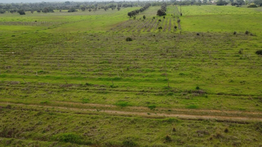 Terreno para Venda em Paderne Foto 5