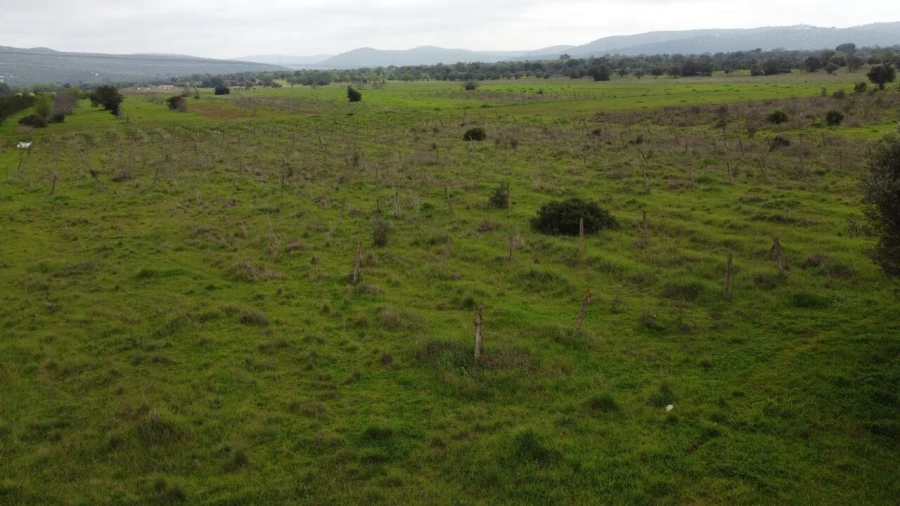 Terreno para Venda em Paderne Foto 9