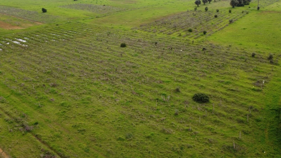 Terreno para Venda em Paderne Foto 11