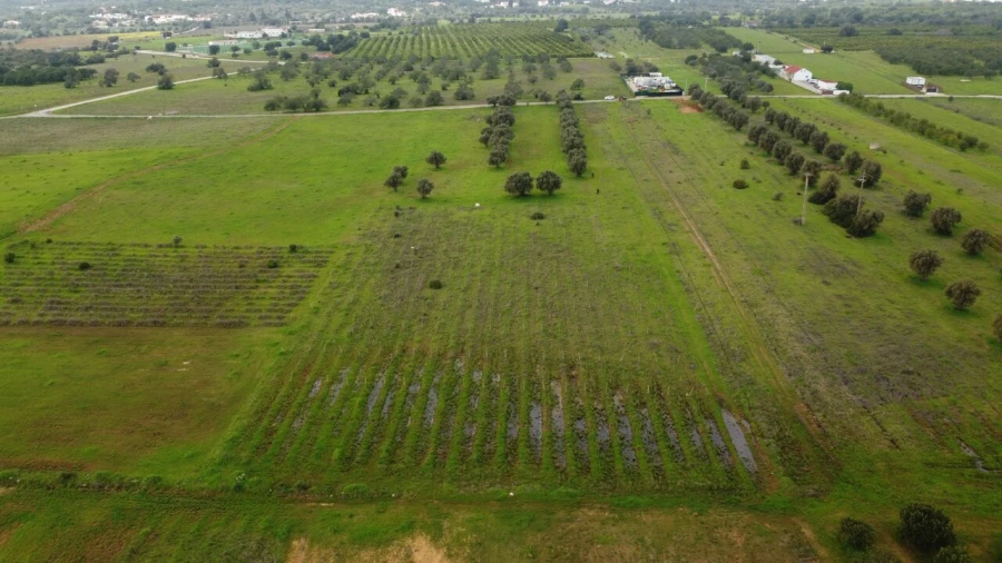 Terreno para Venda em Paderne Foto 12