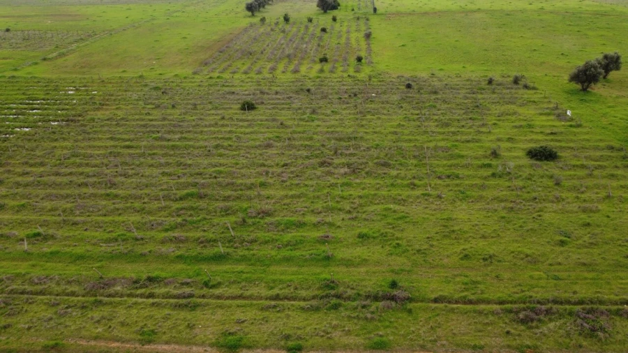 Terreno para Venda em Paderne Foto 13