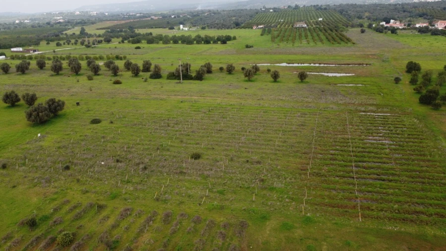 Terreno para Venda em Paderne Foto 16