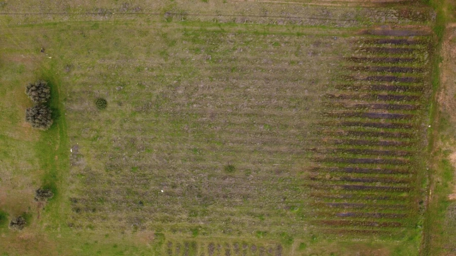 Terreno para Venda em Paderne Foto 17