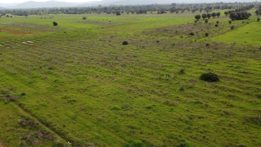 Terreno para Venda em Paderne Foto 19