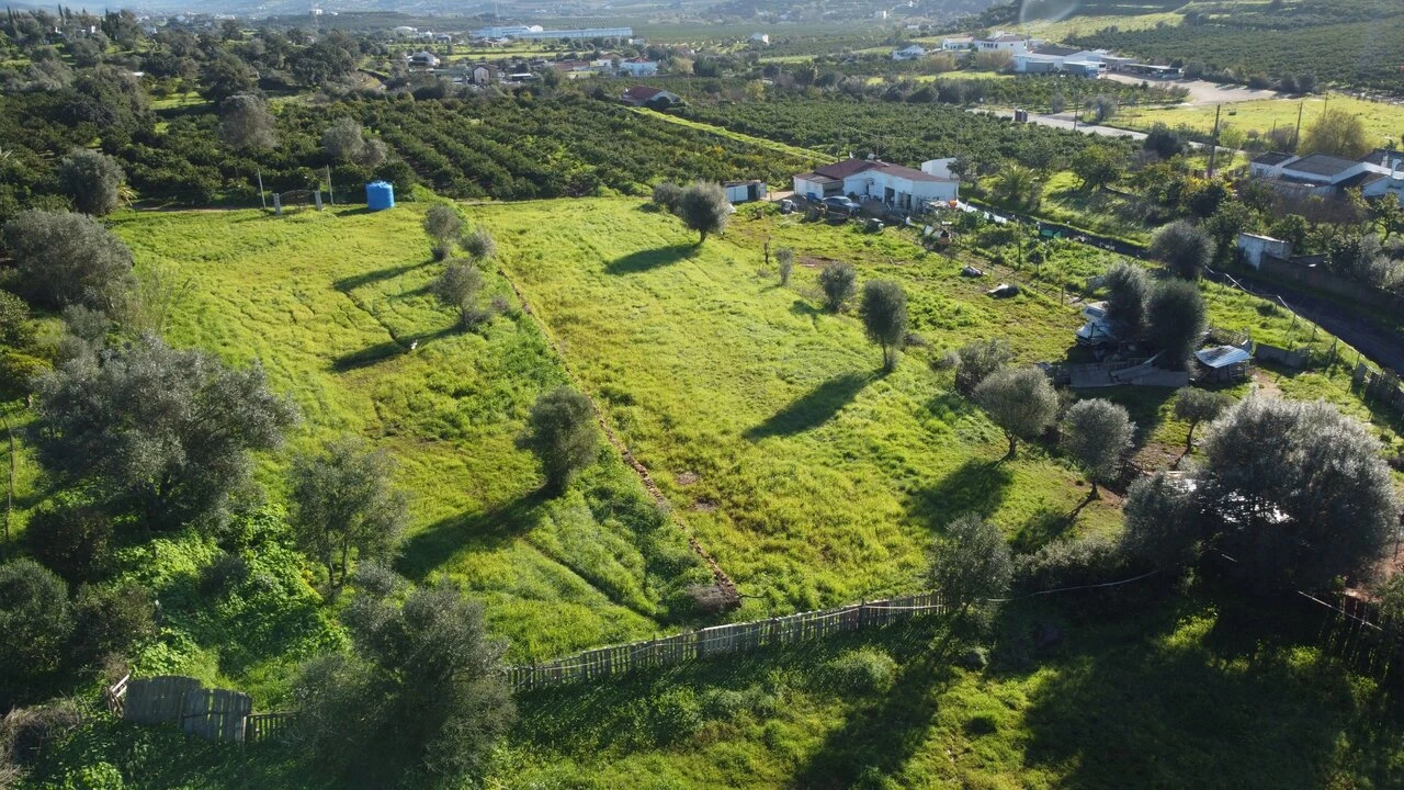 Terreno para Venda em Silves Foto 12